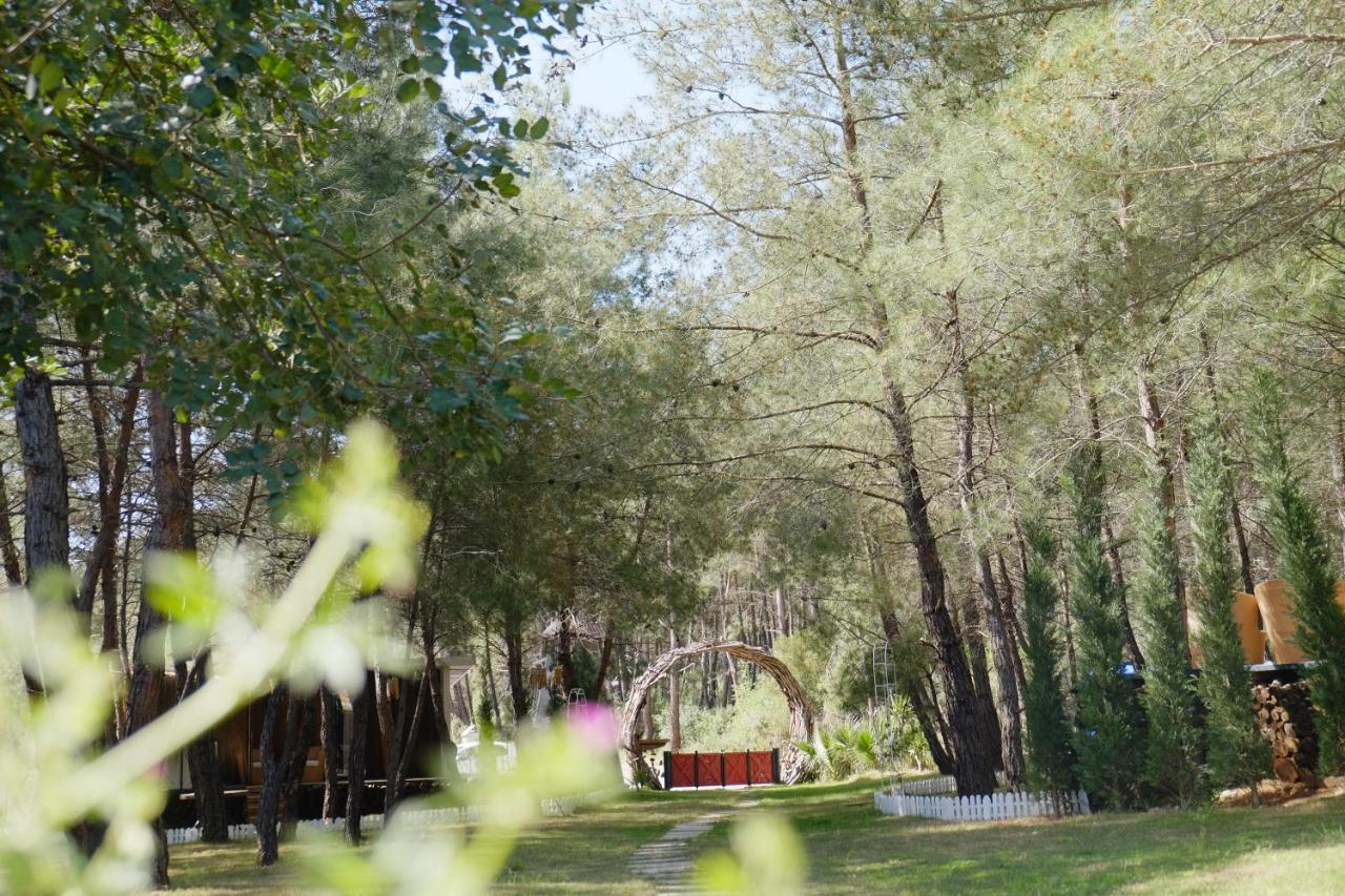 Hotel Mossa Afkule Kayakoey à Fethiye Extérieur photo